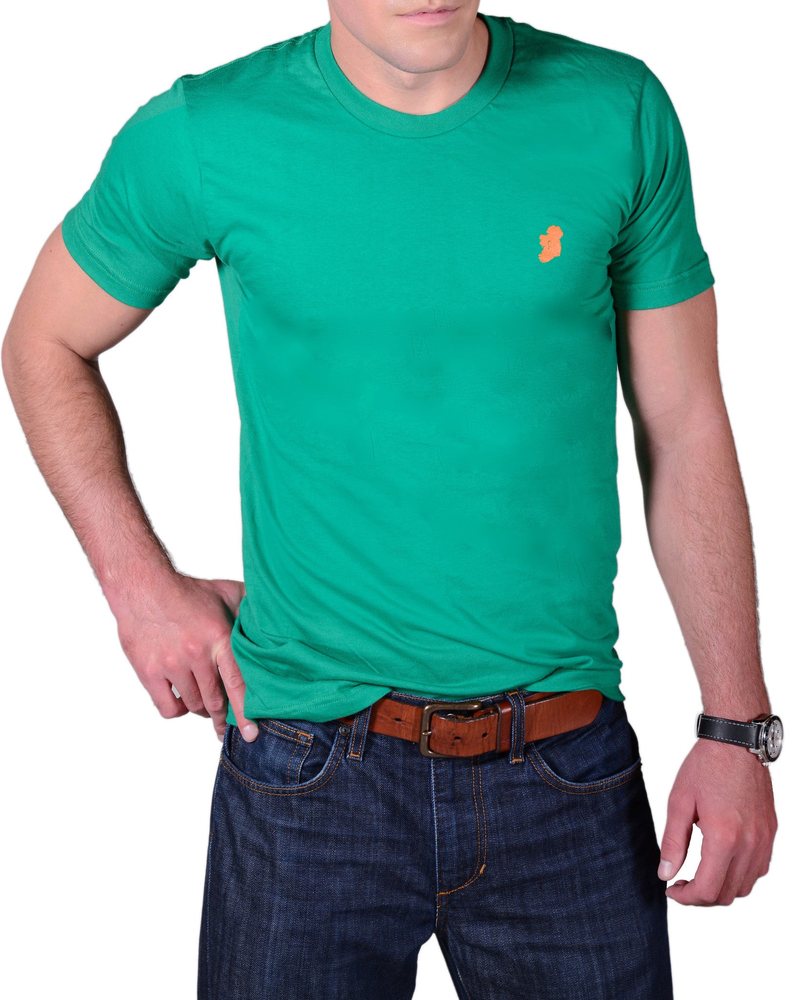 Men's Kelly Green Slim Fit Irish T Shirt by Ireland Shirt